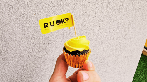 Our brightest yellow mini cupcakes carefully baked by long-time boss Laura C.